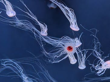 サンシャイン水族館に投稿された画像（2025/10/24）