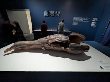 正倉院 THE SHOW ―感じる。いま、ここにある奇跡―　@上野の森美術館に投稿された画像（2025/10/24）