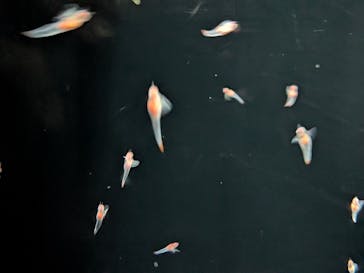 サンシャイン水族館に投稿された画像（2025/10/24）