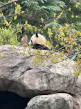 恩賜上野動物園に投稿された画像（2025/10/25）