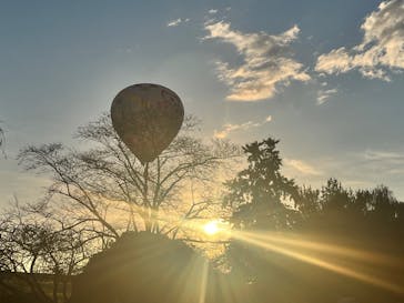 ウイニングバルーンクラブに投稿された画像（2025/10/25）