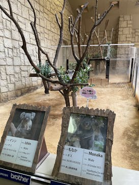 名古屋市東山動植物園に投稿された画像（2025/10/25）