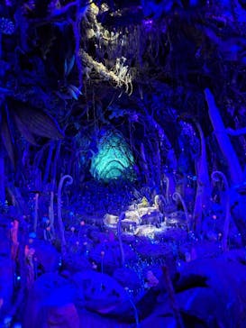 金曜ロードショーとジブリ展（静岡展）に投稿された画像（2025/10/25）