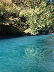 ぐりーんぴーすに投稿された画像（2025/10/25）