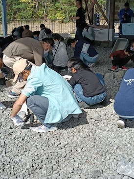 福井県立恐竜博物館に投稿された画像（2025/10/25）