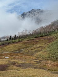 つがいけマウンテンリゾートに投稿された画像（2025/10/25）