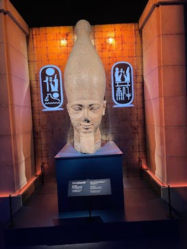 ACN ラムセス大王展 ファラオたちの黄金に投稿された画像（2025/10/25）