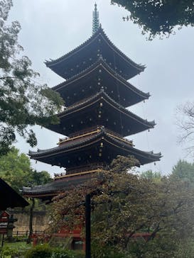 恩賜上野動物園に投稿された画像（2025/10/25）
