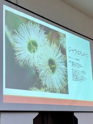 みつばちファームミュージアム＆カフェに投稿された画像（2025/10/25）