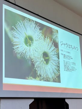 みつばちファームミュージアム＆カフェに投稿された画像（2025/10/25）