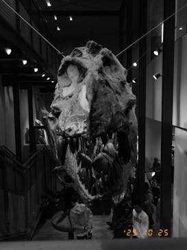 福井県立恐竜博物館に投稿された画像（2025/10/25）