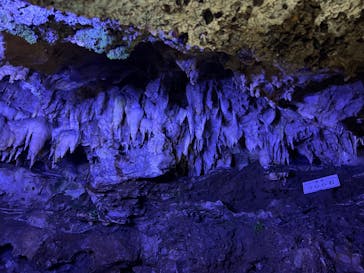 飛騨大鍾乳洞＆大橋コレクション館に投稿された画像（2025/10/25）