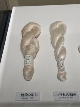 正倉院 THE SHOW ―感じる。いま、ここにある奇跡―　@上野の森美術館に投稿された画像（2025/10/25）