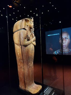 ACN ラムセス大王展 ファラオたちの黄金に投稿された画像（2025/10/25）