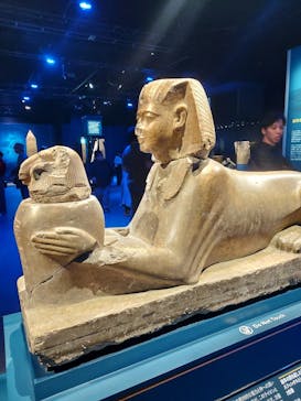 ACN ラムセス大王展 ファラオたちの黄金に投稿された画像（2025/10/25）