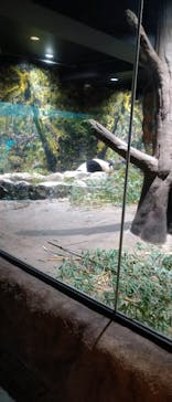 恩賜上野動物園に投稿された画像（2025/10/25）