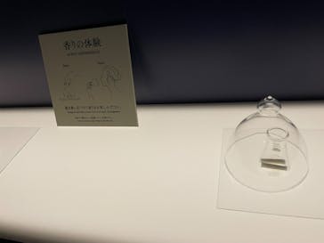 正倉院 THE SHOW ―感じる。いま、ここにある奇跡―　@上野の森美術館に投稿された画像（2025/10/25）