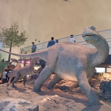 福井県立恐竜博物館に投稿された画像（2025/10/25）