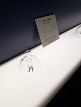 正倉院 THE SHOW ―感じる。いま、ここにある奇跡―　@上野の森美術館に投稿された画像（2025/10/25）