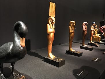 MYSTERY OF TUTANKHAMEN 体感型古代エジプト展に投稿された画像（2025/10/25）