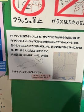 竹島水族館に投稿された画像（2025/10/25）