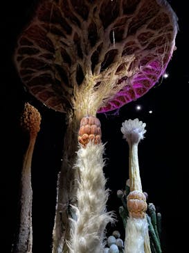 金曜ロードショーとジブリ展（静岡展）に投稿された画像（2025/10/25）