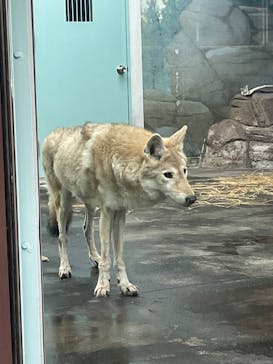 天王寺動物園に投稿された画像（2025/10/25）