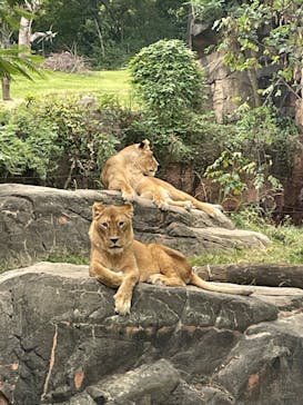 天王寺動物園に投稿された画像（2025/10/25）
