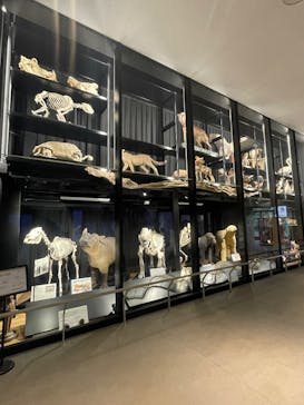 天王寺動物園に投稿された画像（2025/10/25）