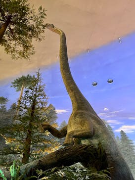 福井県立恐竜博物館に投稿された画像（2025/10/25）