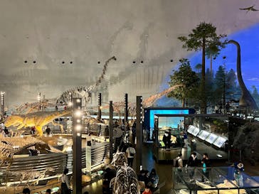 福井県立恐竜博物館に投稿された画像（2025/10/25）