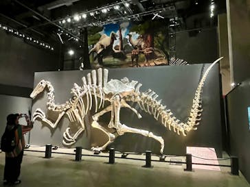 福井県立恐竜博物館に投稿された画像（2025/10/25）
