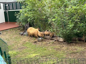 竹島水族館に投稿された画像（2025/10/25）