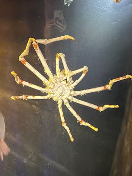 竹島水族館に投稿された画像（2025/10/25）