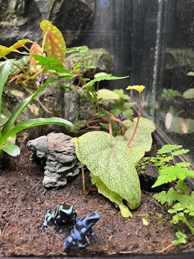 サンシャイン水族館に投稿された画像（2025/10/25）