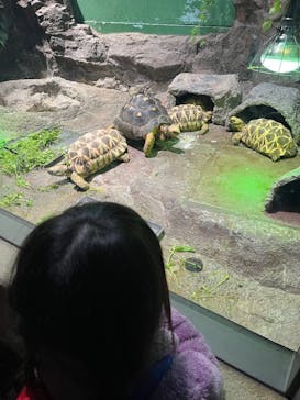 サンシャイン水族館に投稿された画像（2025/10/25）