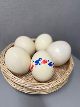 カワスイ 川崎⽔族館に投稿された画像（2025/10/25）