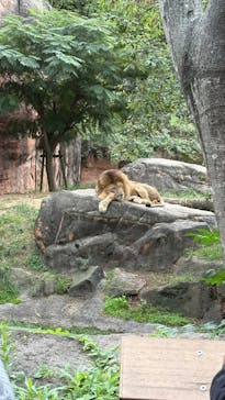 天王寺動物園に投稿された画像（2025/10/25）
