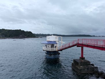 串本海中公園水族館に投稿された画像（2025/10/25）