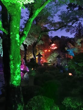 NAKED夜さんぽ™ 石川・那谷寺に投稿された画像（2025/10/25）