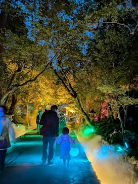 NAKED夜さんぽ™ 石川・那谷寺に投稿された画像（2025/10/25）