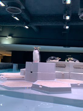 AOAO SAPPOROに投稿された画像（2025/10/25）