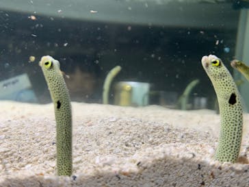 AOAO SAPPOROに投稿された画像（2025/10/25）