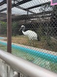 天王寺動物園に投稿された画像（2025/10/25）