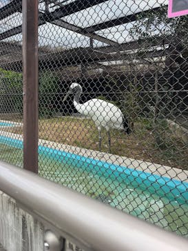 天王寺動物園に投稿された画像（2025/10/25）