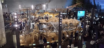 福井県立恐竜博物館に投稿された画像（2025/10/25）