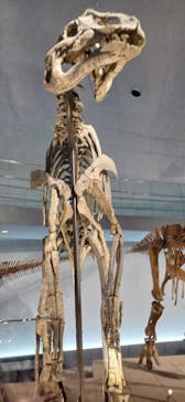 福井県立恐竜博物館に投稿された画像（2025/10/25）