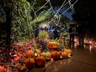 横浜イングリッシュガーデンに投稿された画像（2025/10/25）