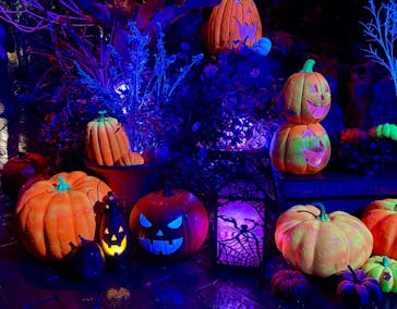 横浜イングリッシュガーデンに投稿された画像（2025/10/25）