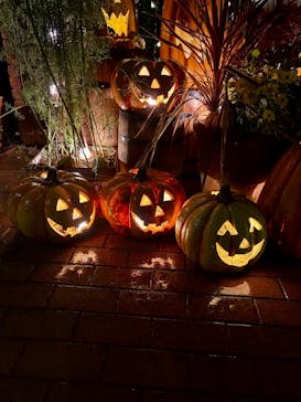 横浜イングリッシュガーデンに投稿された画像（2025/10/25）